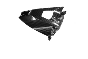 Kotflügel hinten CARBON - twill - glossy -  BMW S1000RR 2009-2011-2016