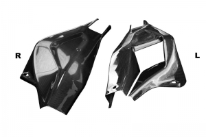 MW S 1000 RR 2019-2021 - CARBON  PLAIN - GLOSSY - Swingenprotektor - Paar - Version 2