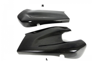 CARBON Plain - Glossy - Swingenprotektor - Paar BMW S1000RR 09-16 / R 12-14