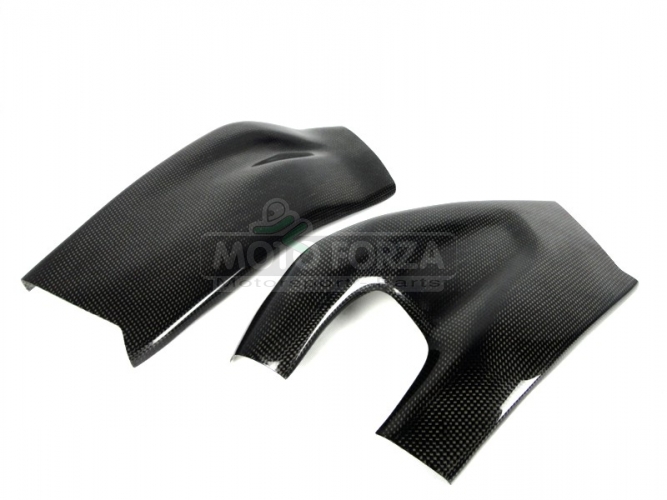 CARBON Plain - Glossy - Swingenprotektor - Paar BMW S1000RR 09-16 / R 12-14