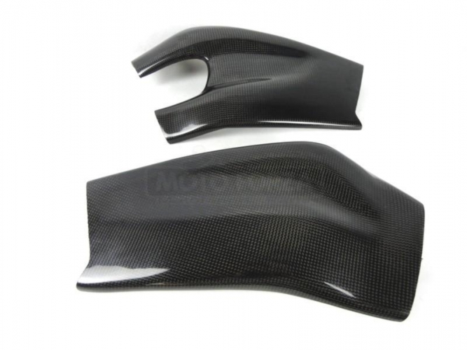 CARBON Plain - Glossy - Swingenprotektor - Paar BMW S1000RR 09-16 / R 12-14