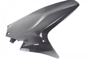 Ducati 955 Panigale V2 2020-2024 Kotflügel hinten, CARBON PLAIN GLOSSY