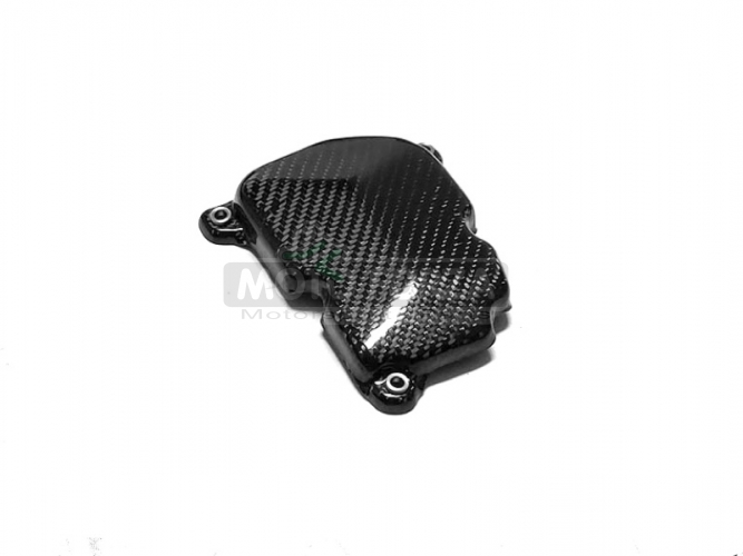 Kawasaki ZZR 1400 (ZX-14/ZX-14R) 2006+ - Zündungsdeckel - CARBON twill glossy