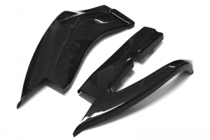 Suzuki GSX-R 1000 2009-2015 (K9-K15) Swingenprotektoren - Paar - CARBON - PLAIN GLOSSY