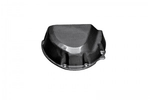 Sprocket Cover - vorne Triumph 1050 Speed Triple 2011-2015 - CARBON Plain - Glossy