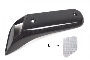 Ram air-Protector - L CARBON plain - glossy - Yamaha MT01 03-09